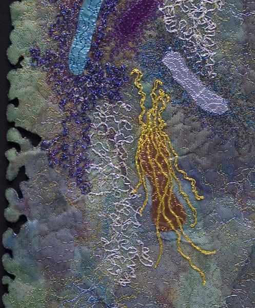 Sea life – detail